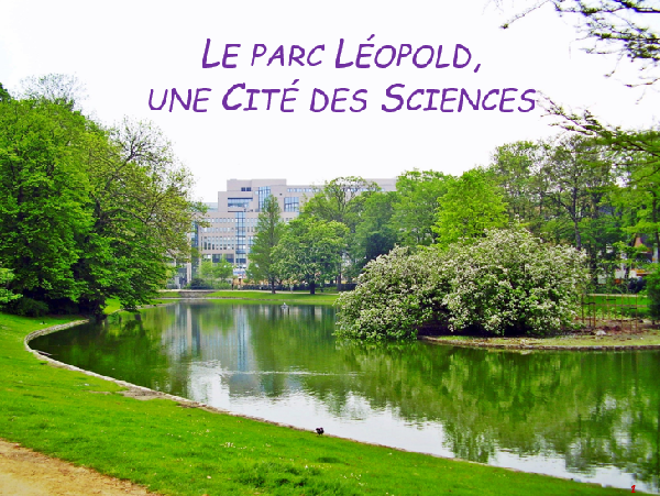 Le parc Léopold une Cité des Sciences copie
